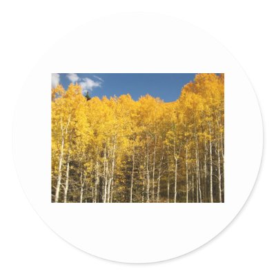 Fall in the mountains sticker