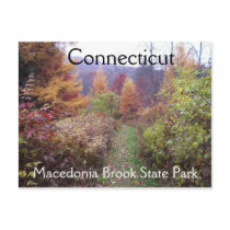 Fall in the Park postcards