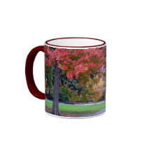 Fall in the Public Garden mugs