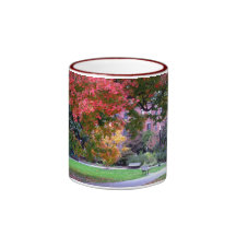 Fall in the Public Garden Mugs