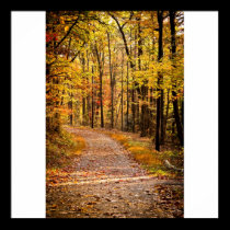 Fall in the Smoky's Framed Print posters