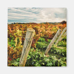 Fall in the Vineyard Sky Fridge Magnets