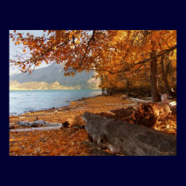 Fall in Waterton II posters