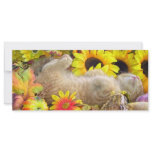 Fall Kitten Bookmark Full Color Rack Card