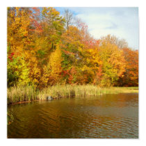 Fall/Lake Design Poster Cattails posters by pammys Fall/Lake Design Poster Cattails posters