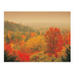 Fall landscape, New Hampshire, USA Postcard