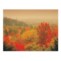 Fall landscape, New Hampshire, USA Postcard