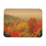 Fall landscape, New Hampshire, USA Rectangle Magnets