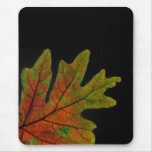fall leaf 2 mouse mat