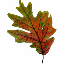 fall leaf 2 photo sculptures by daas_1 fall leaf 2 photo sculptures