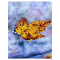 Fall Leaf letterhead by BrianLemburg Fall Leaf letterhead