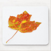 Fall leaf Mousepad mousepads