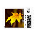 Fall leaf postage