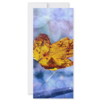 Fall Leaf rack cards by BrianLemburg Fall Leaf rack cards