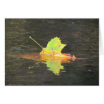 Fall Leaf Reflection Greeting Cards