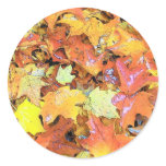 Fall Leaf