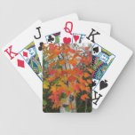 Fall leaves and birch tree playing cards playing cards