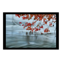 Fall Leaves and Fall Floods posters