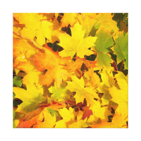 Fall Leaves Autumn Colors Leaf Design Stretched Canvas Print