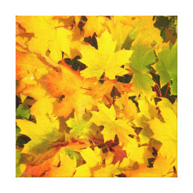 Fall Leaves Autumn Colors Leaf Design Canvas Prints