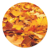 Fall Leaves Autumn Ground Cover Round Sticker