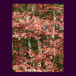 Fall Leaves / Boston, Massachusetts