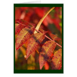 Fall Leaves Card