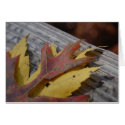 Fall Leaves card