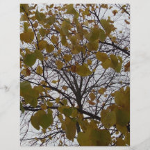 Fall Leaves Custom Flyer