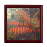Fall Leaves Gift Box