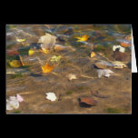 Fall Leaves in Pond Card