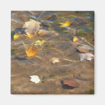 Fall Leaves in Pond Magnet