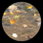 Fall Leaves in Pond Sticker