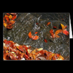 Fall Leaves in Waterfall Card
