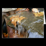 Fall Leaves in Waterfall Card