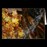 Fall Leaves in Waterfall Card