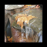 Fall Leaves in Waterfall Magnet