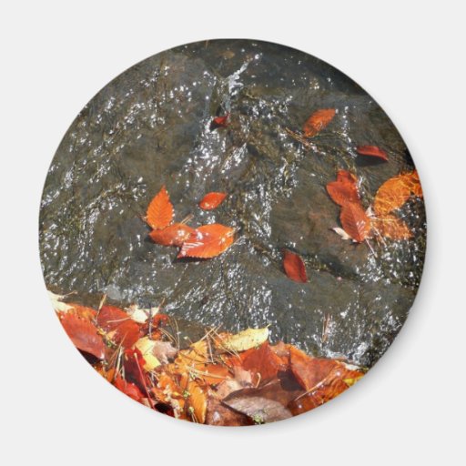 Fall Leaves in Waterfall Magnet