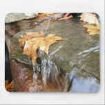 Fall Leaves in Waterfall Mousepad