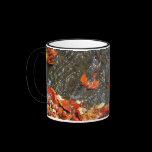 Fall Leaves in Waterfall Mug