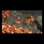 Fall Leaves in Waterfall Photo Print