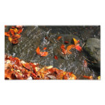 Fall Leaves in Waterfall Photo Print