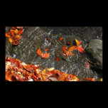 Fall Leaves in Waterfall Print