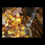 Fall Leaves in Waterfall Print