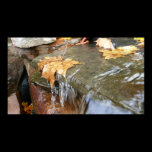 Fall Leaves in Waterfall Print