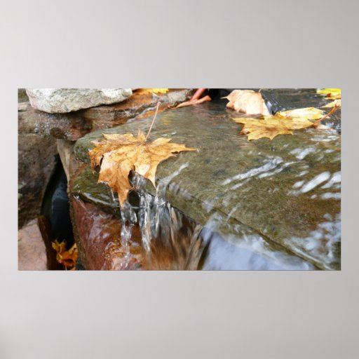 Fall Leaves in Waterfall Print