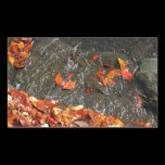 Fall Leaves in Waterfall Sticker