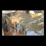 Fall Leaves in Waterfall Sticker