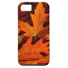 Fall leaves iphone5 case iPhone 5 case
