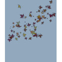 Fall Leaves Long Sleeved Woman's T-Shirt